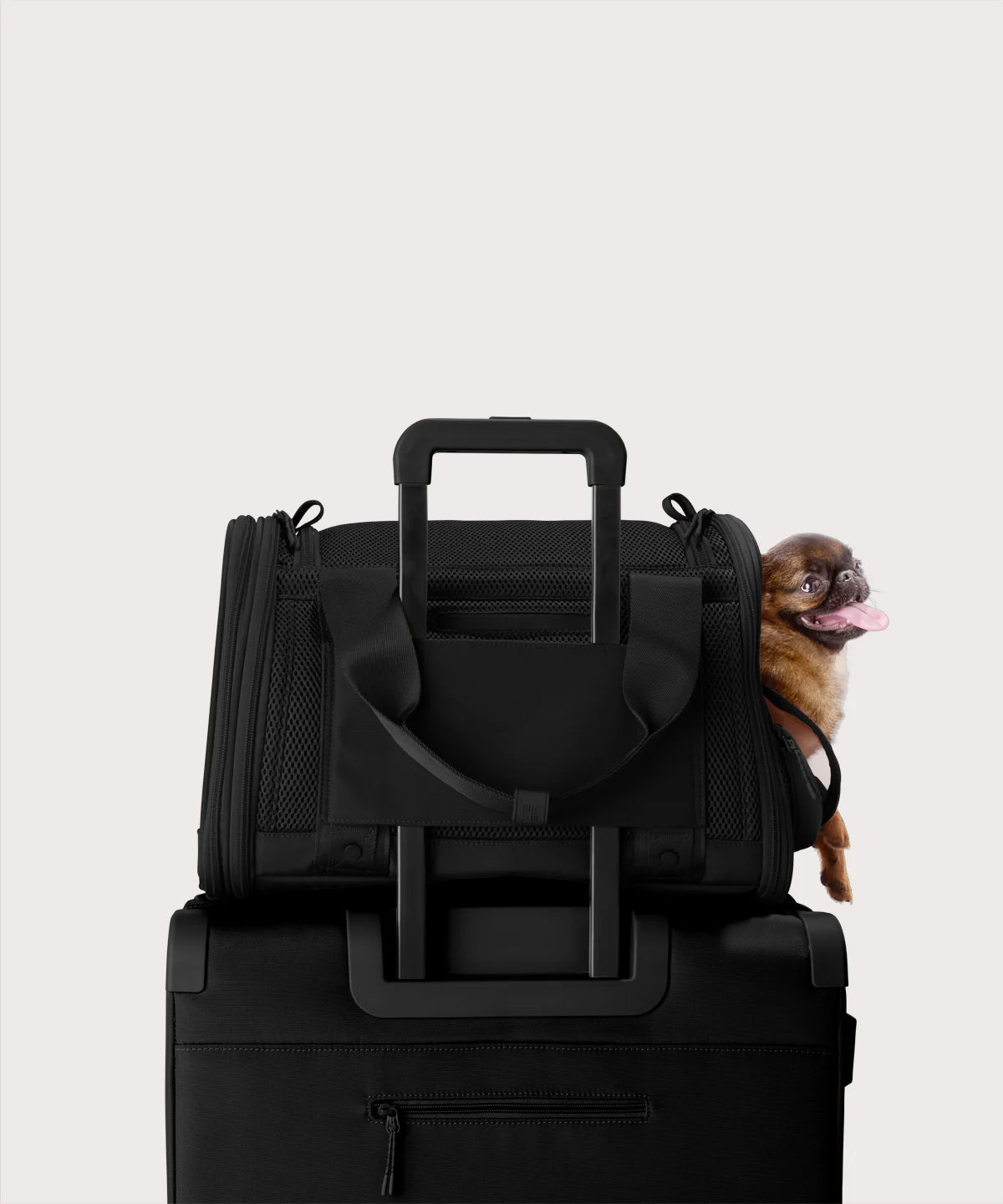 dagnedovermell.com